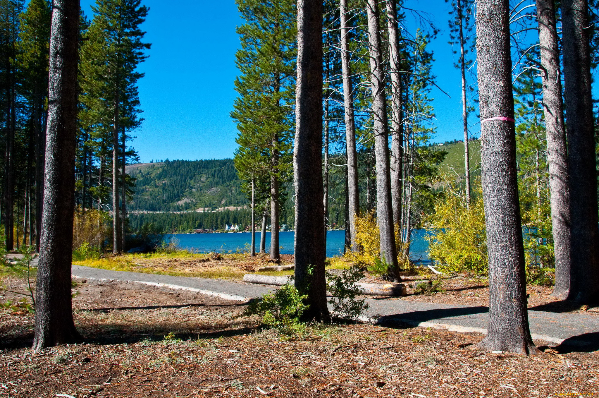 donner, state, park, , , , , 